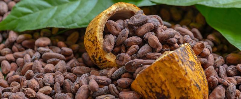 Цены на какао-бобы превысили 10 тысяч долларов за тонну впервые в истории